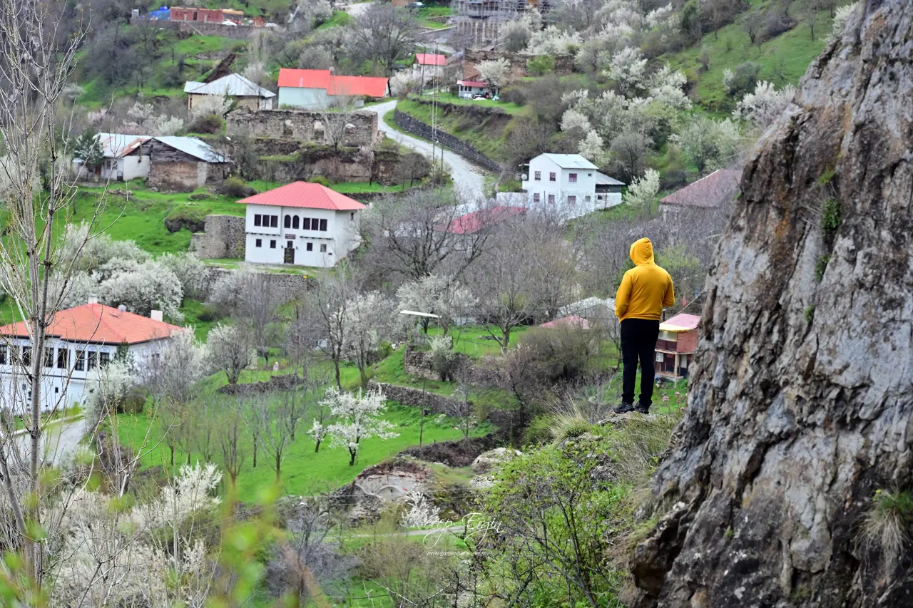 Kayaların göbeğinden altın gibi fışkırıyor: Görenler gözlerine inanamadı! 1