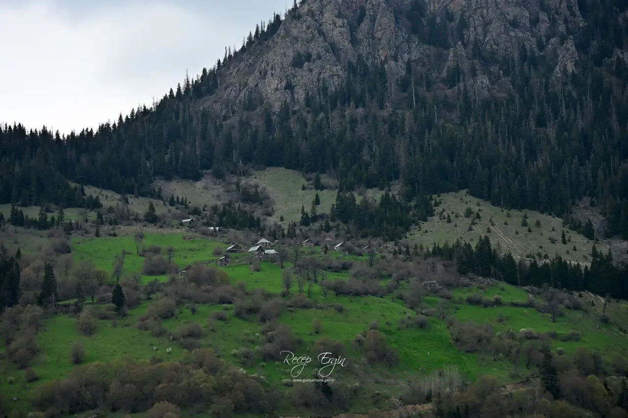 Livade Yaylası’ndan Kirazlık Köyü’ne Adım Adım Bahar 97