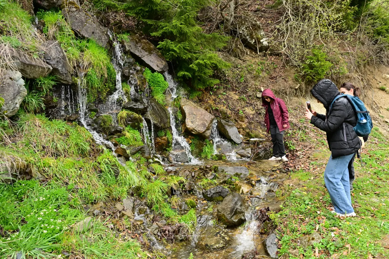 Livade Yaylası’ndan Kirazlık Köyü’ne Adım Adım Bahar 104