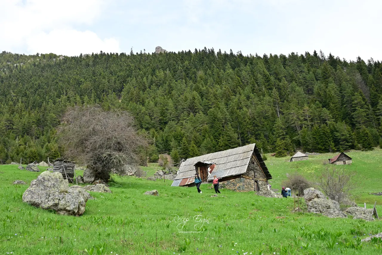 Livade Yaylası’ndan Kirazlık Köyü’ne Adım Adım Bahar 77