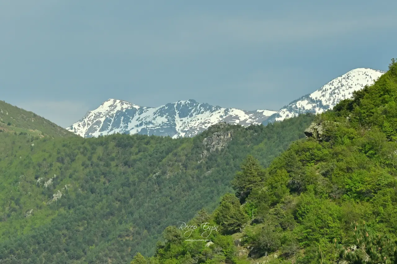 Livade Yaylası’ndan Kirazlık Köyü’ne Adım Adım Bahar 125