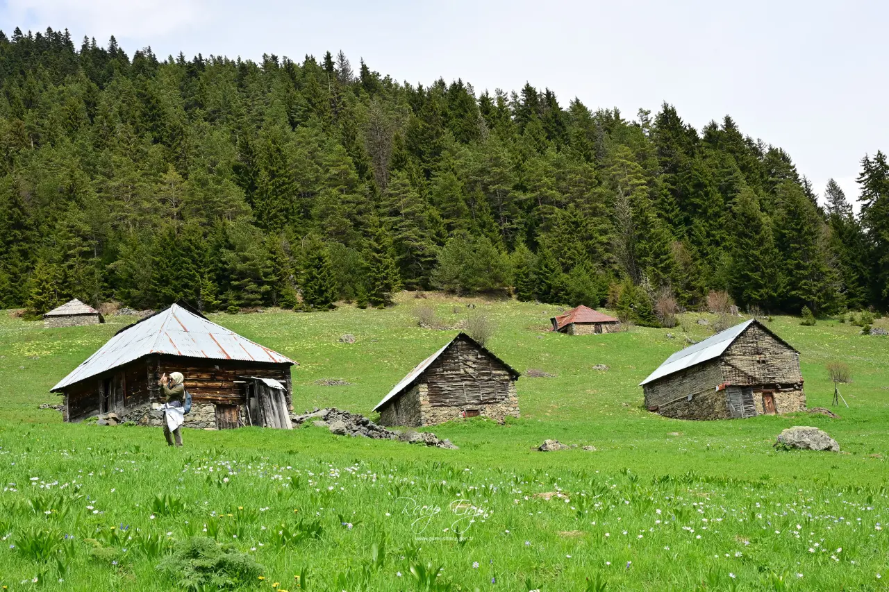 Livade Yaylası’ndan Kirazlık Köyü’ne Adım Adım Bahar 74