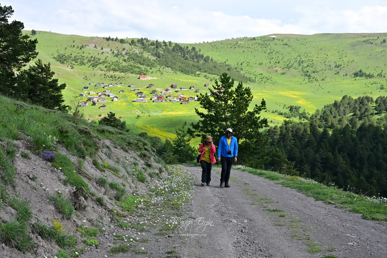 Bin 950 Metrede Görsel Şölen: Görenler Dönüp Bir Daha Bakıyor! 1