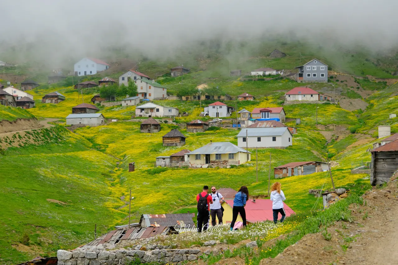 Çiçek Tarlasına Dönüşen Gümüşhane Yaylaları Hayran Bıraktı 1
