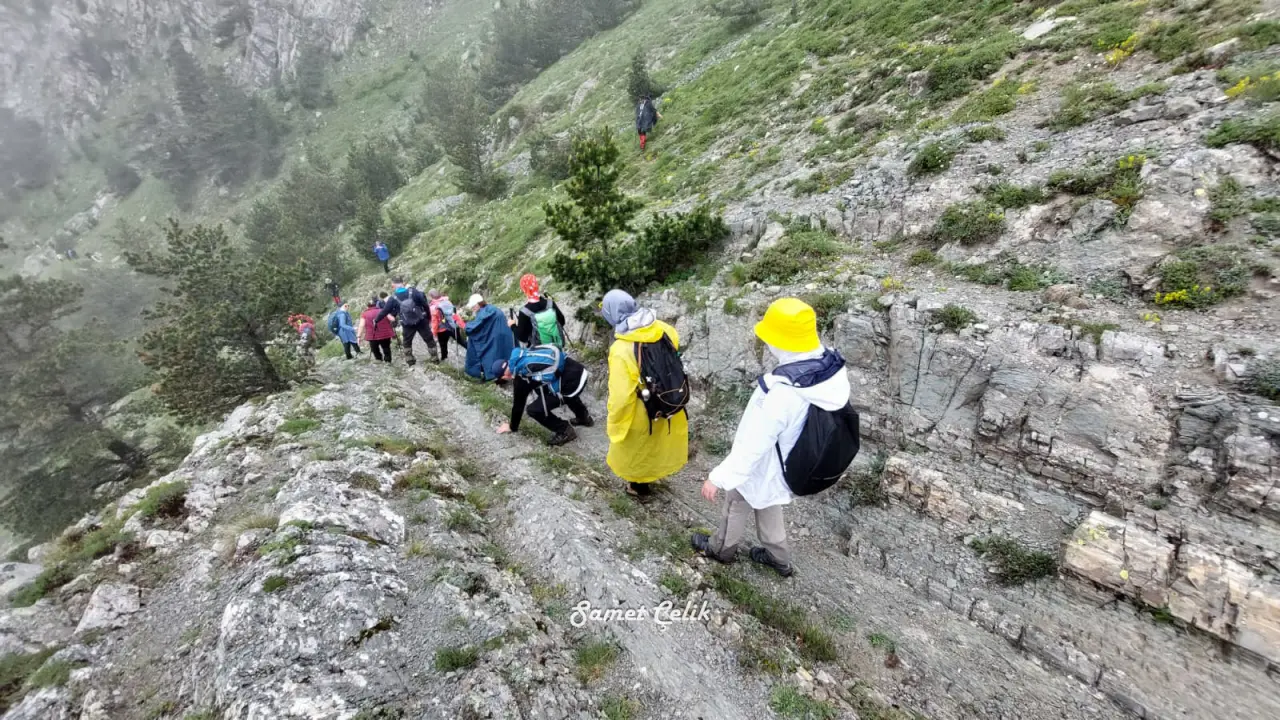 Çiçek Tarlasına Dönüşen Gümüşhane Yaylaları Hayran Bıraktı 53