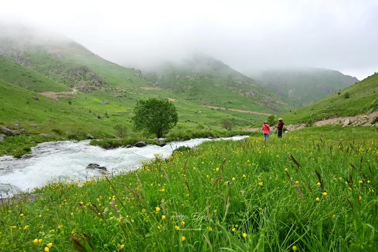 Görenler Alpler Sanıyor Ama Burası Gümüşhane! Gümüşhane'deki O Yayla Ziyaretçilerini Büyülüyor 19
