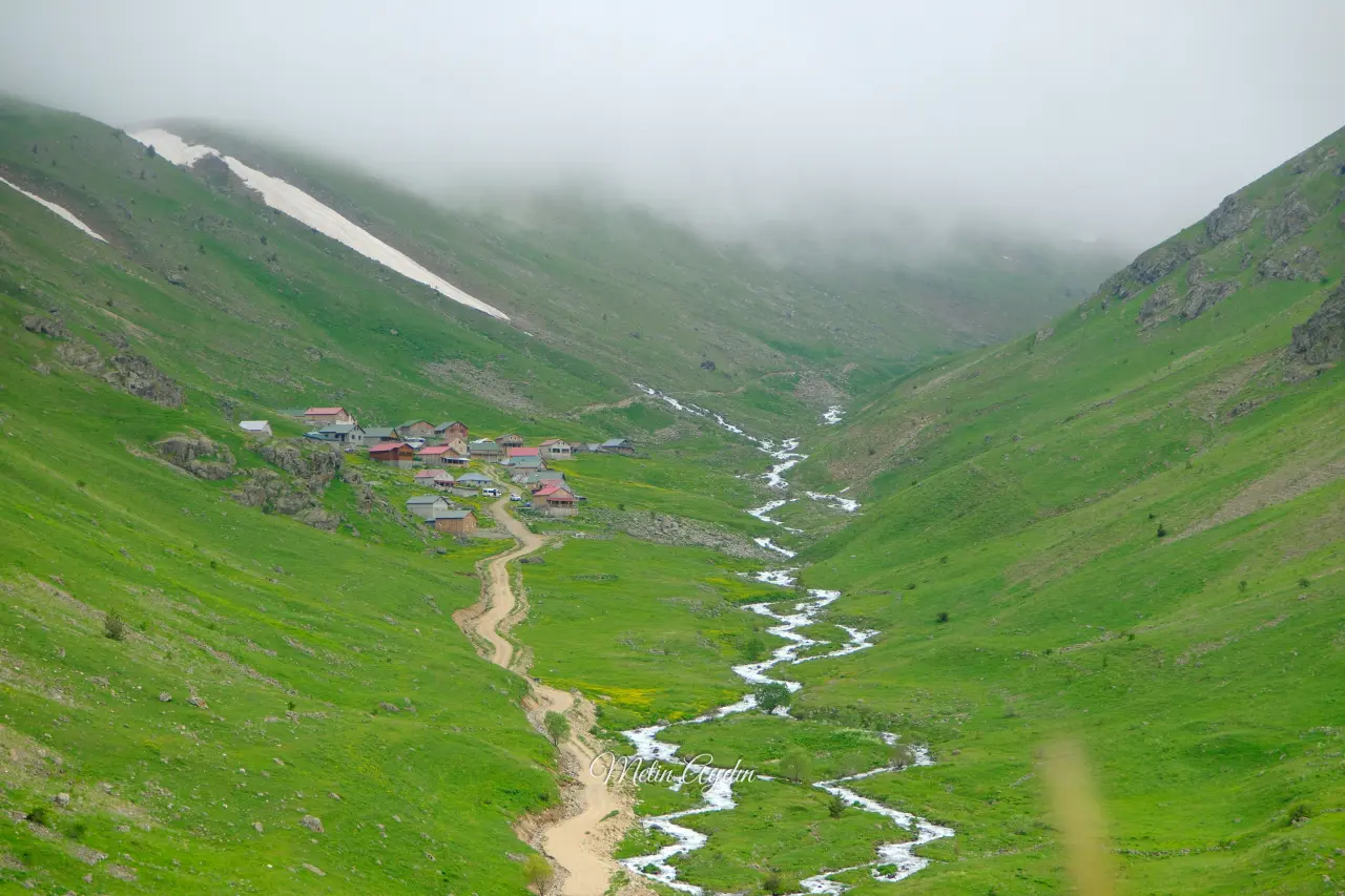 Görenler Alpler Sanıyor Ama Burası Gümüşhane! Gümüşhane'deki O Yayla Ziyaretçilerini Büyülüyor 11