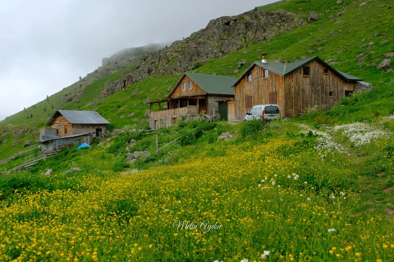 Görenler Alpler Sanıyor Ama Burası Gümüşhane! Gümüşhane'deki O Yayla Ziyaretçilerini Büyülüyor 9