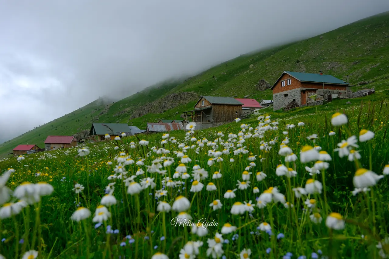 Görenler Alpler Sanıyor Ama Burası Gümüşhane! Gümüşhane'deki O Yayla Ziyaretçilerini Büyülüyor 5