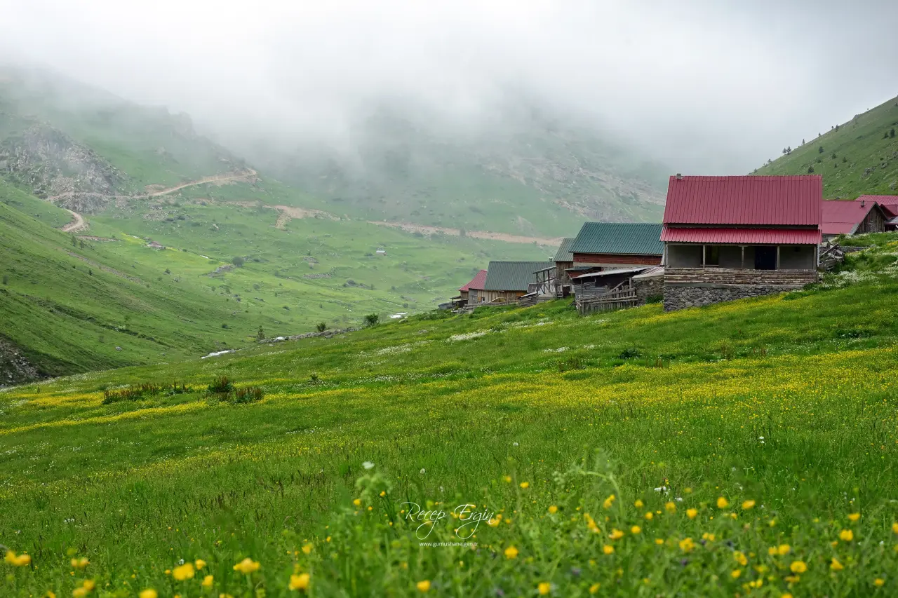 Görenler Alpler Sanıyor Ama Burası Gümüşhane! Gümüşhane'deki O Yayla Ziyaretçilerini Büyülüyor 15