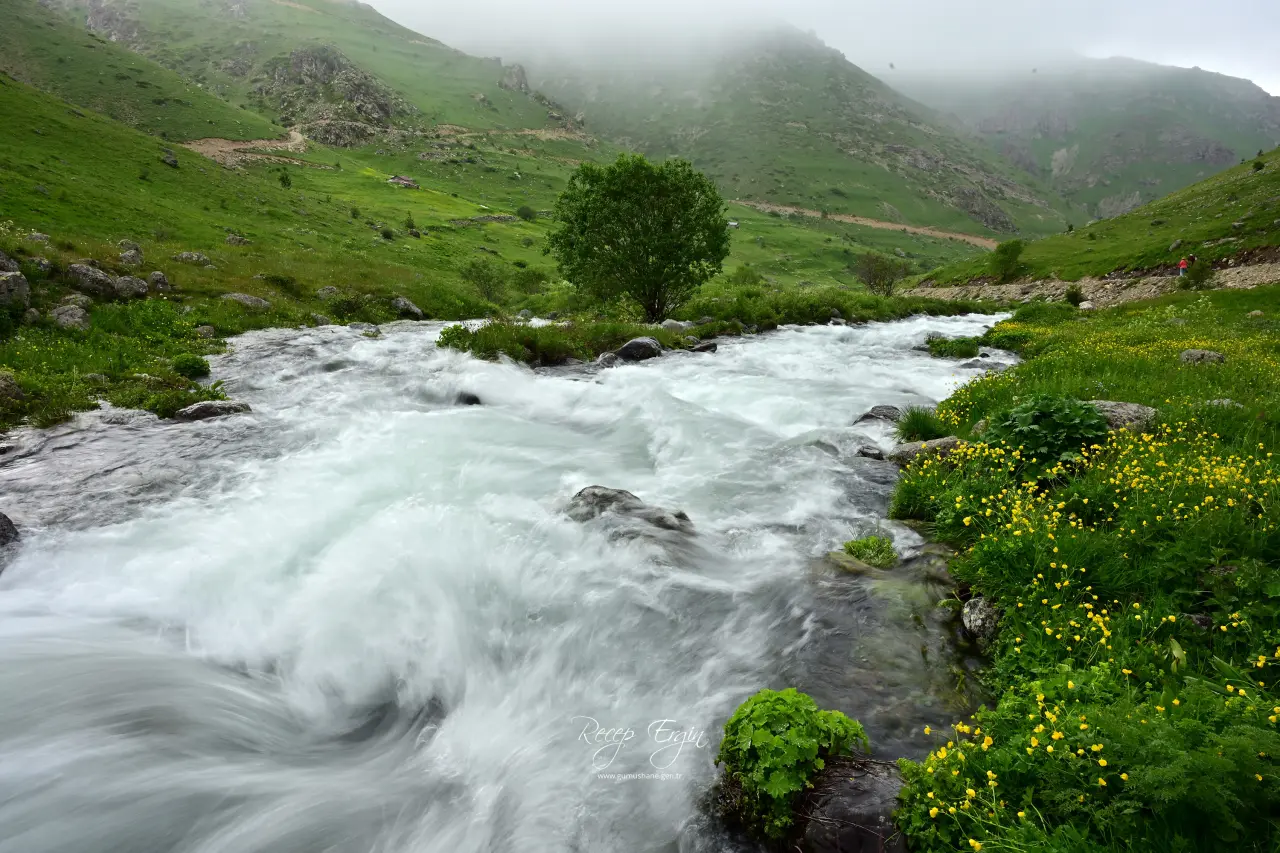 Görenler Alpler Sanıyor Ama Burası Gümüşhane! Gümüşhane'deki O Yayla Ziyaretçilerini Büyülüyor 1