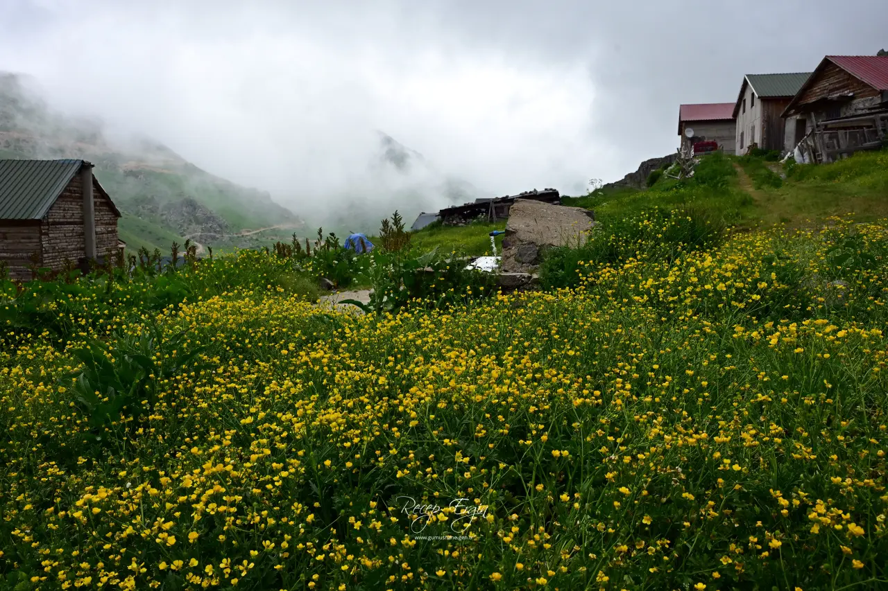 Görenler Alpler Sanıyor Ama Burası Gümüşhane! Gümüşhane'deki O Yayla Ziyaretçilerini Büyülüyor 17