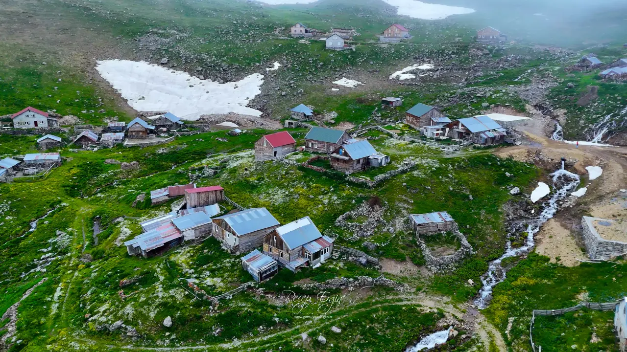 Gümüşhane'nin Çatısında Görsel Şölen: Yılanlı Yaylası Papatyalarla Kaplandı 2