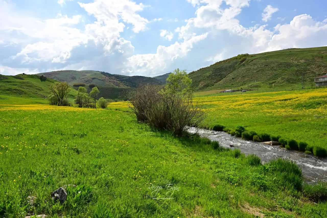 Sadece 20 Gün Sürüyor! Gümüşhane'deki O Vadi Görenleri Kendine Hayran Bırakıyor 15
