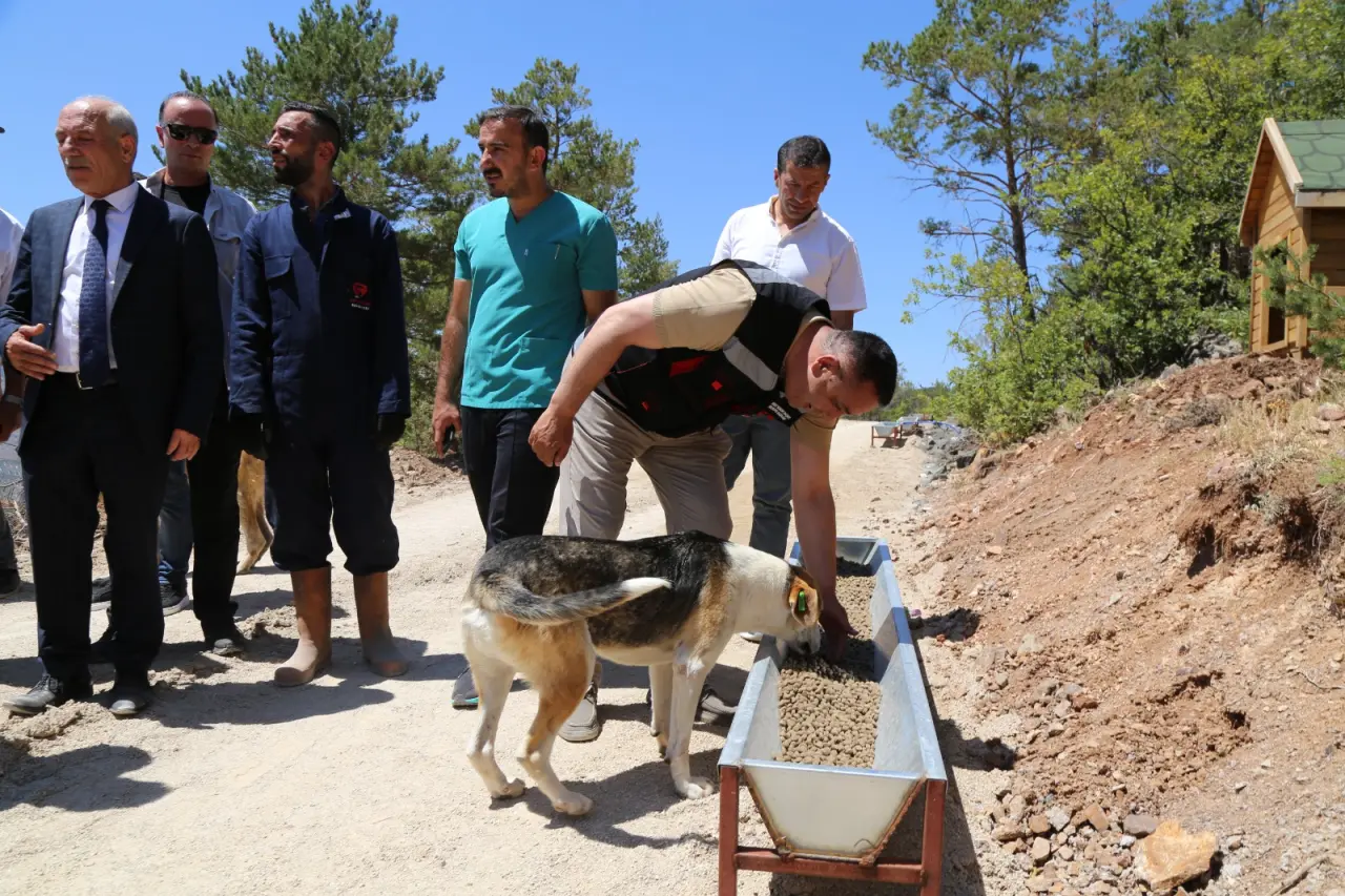 Gümüşhane'de Sokak Hayvanları Doğal Yaşam Alanı Törenle Hizmete Açıldı 9