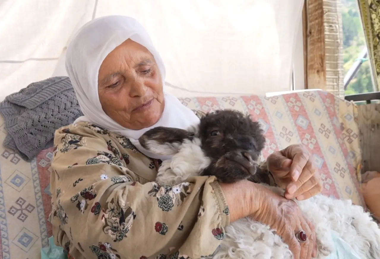 Torul'da Sıradışı Bir Sevgi Hikayesi: Boncuk Kuzu Ailenin Bir Ferdi Oldu 8