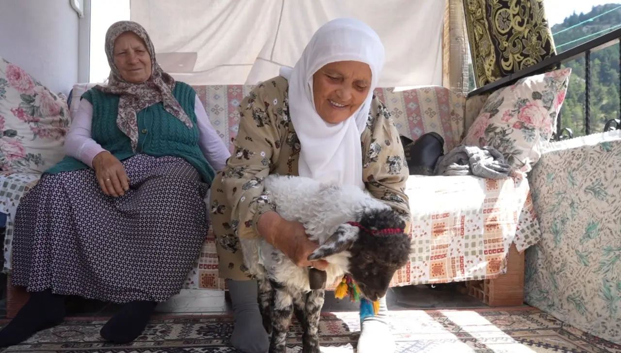 Torul'da Sıradışı Bir Sevgi Hikayesi: Boncuk Kuzu Ailenin Bir Ferdi Oldu 5