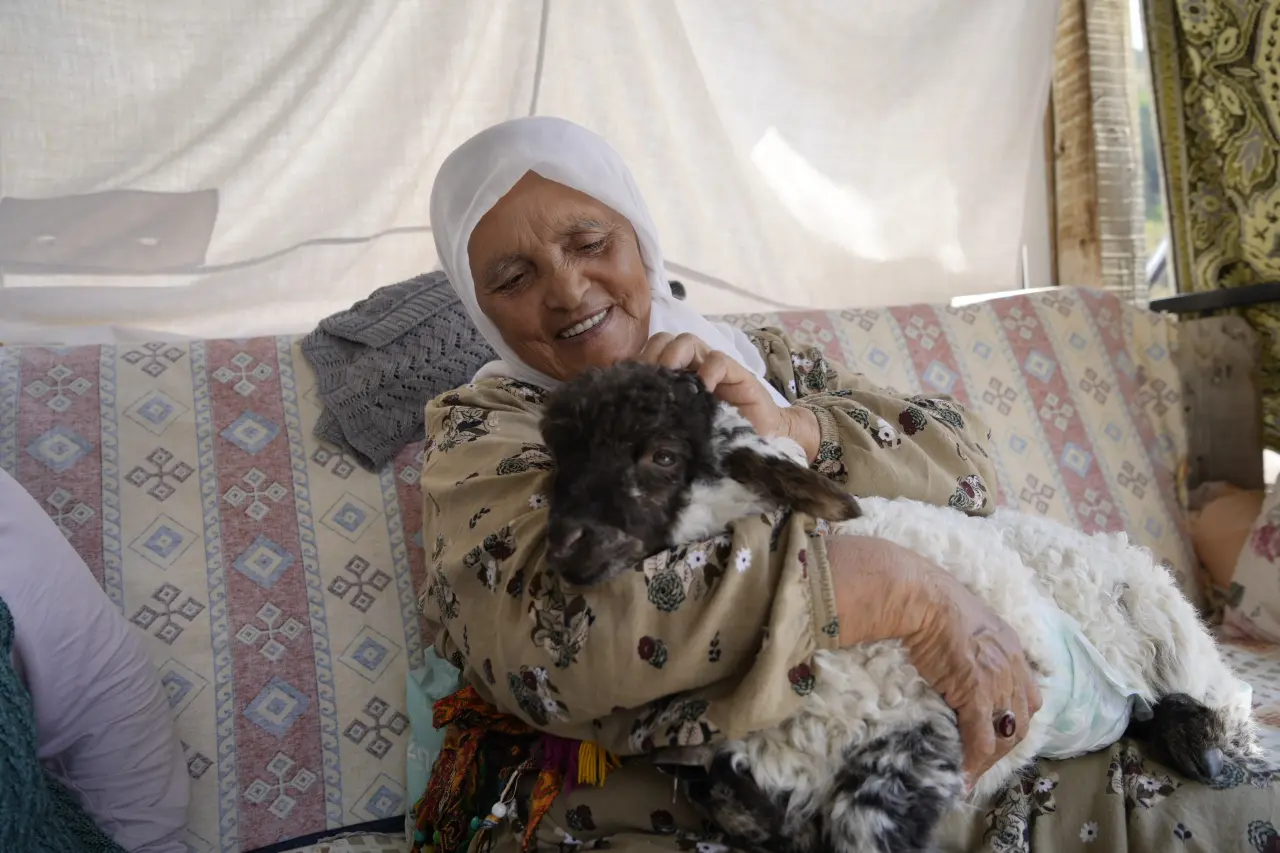 Torul'da Sıradışı Bir Sevgi Hikayesi: Boncuk Kuzu Ailenin Bir Ferdi Oldu 10
