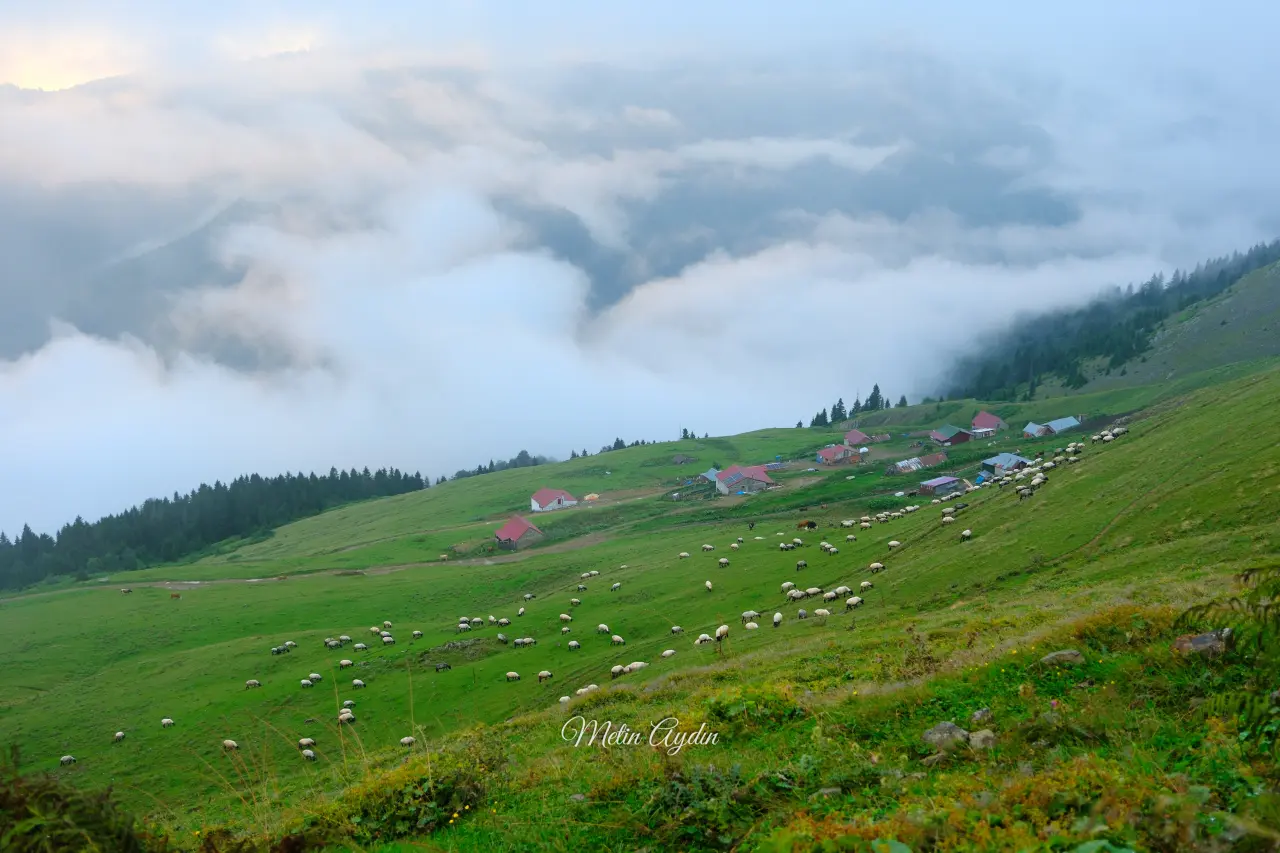 Bulutların Üzerinde Yürüyormuş Hissiyatı Veren Yayla: Çetlüce görenleri Büyüledi 11