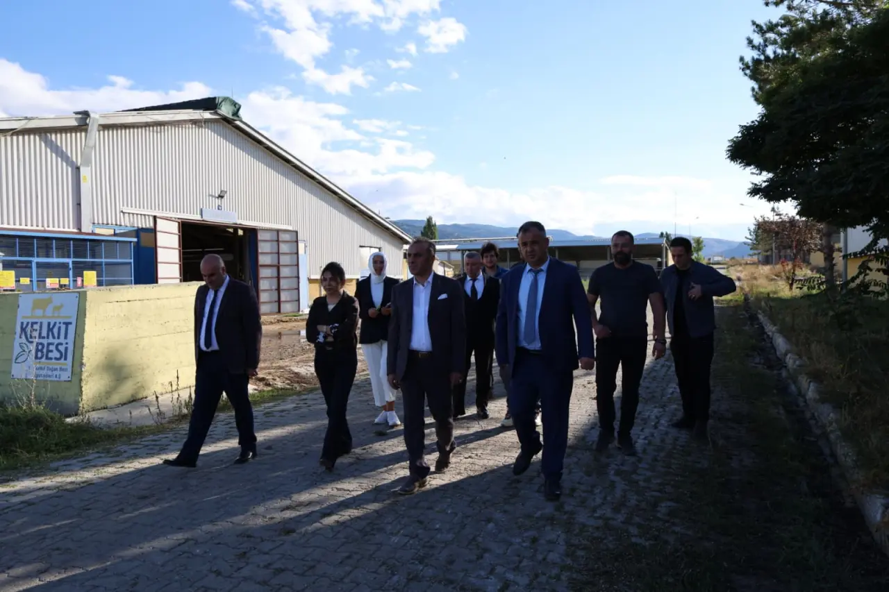 Gümüşhane Üniversitesi’nden Bölge Hayvancılığına Alternatif Kaba Yem Hazırlığı: Fil Otu 7
