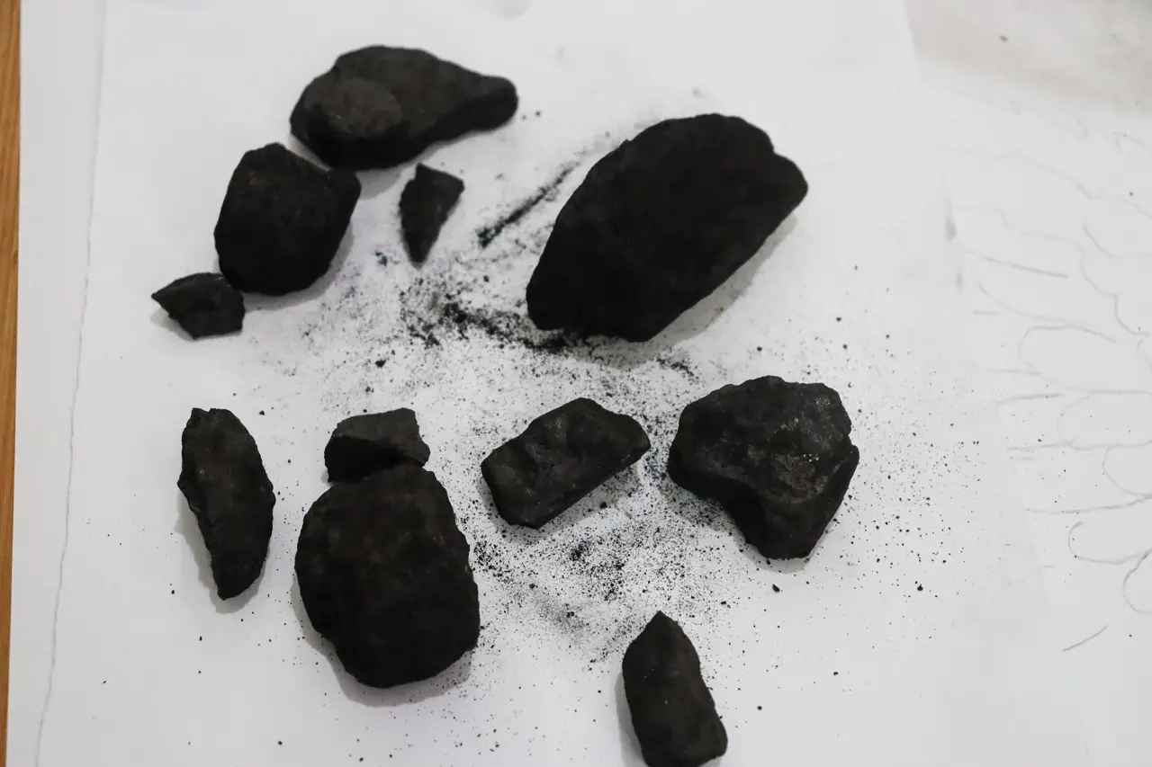 Sobalı Evde Başlayan Sıradışı Yolculuk: Kömürle Bergen’in portresini çizdi 3