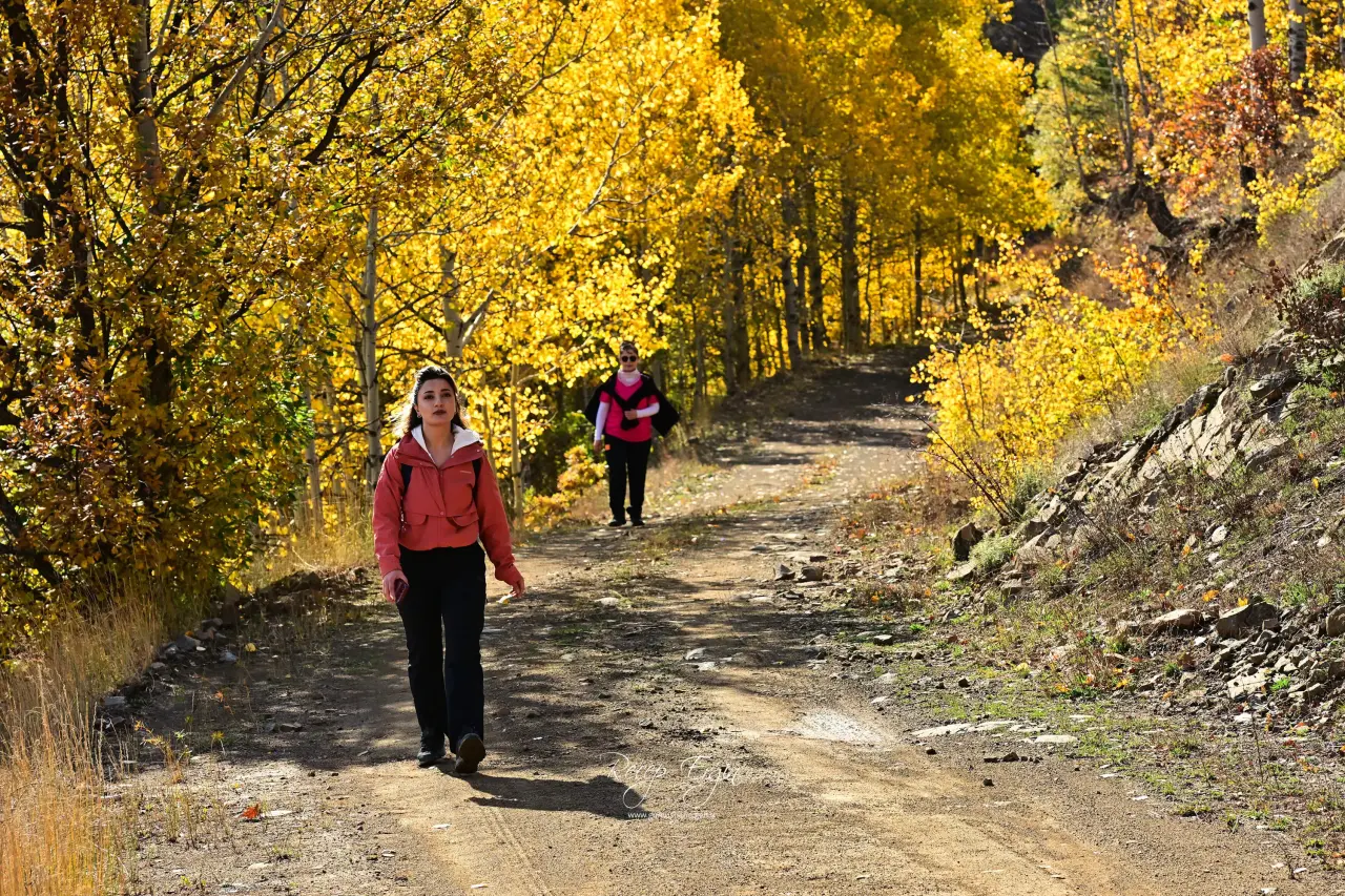 Hazan Mevsiminin Sanat Eseri: Gümüşhane Dağlarında Eşsiz Sonbahar Yürüyüşü 33