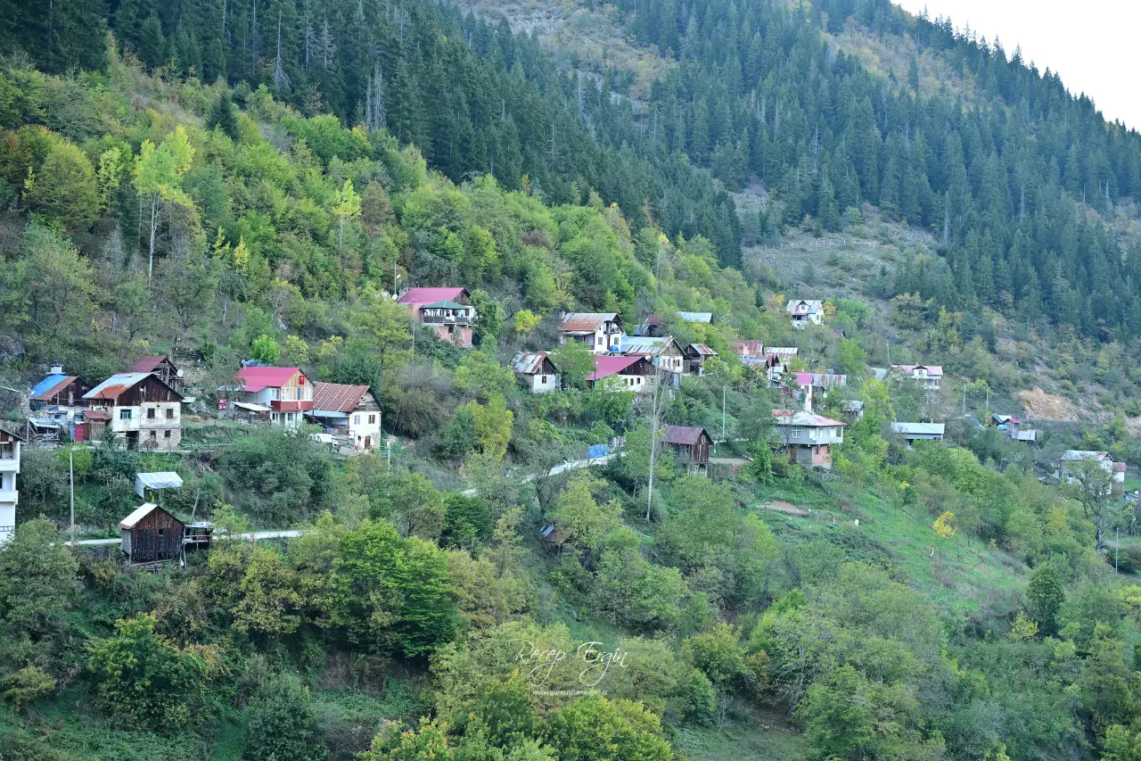 Sarıç’ın yamaçlarında sonbahar: 20 kilometrelik renk yolculuğu 64