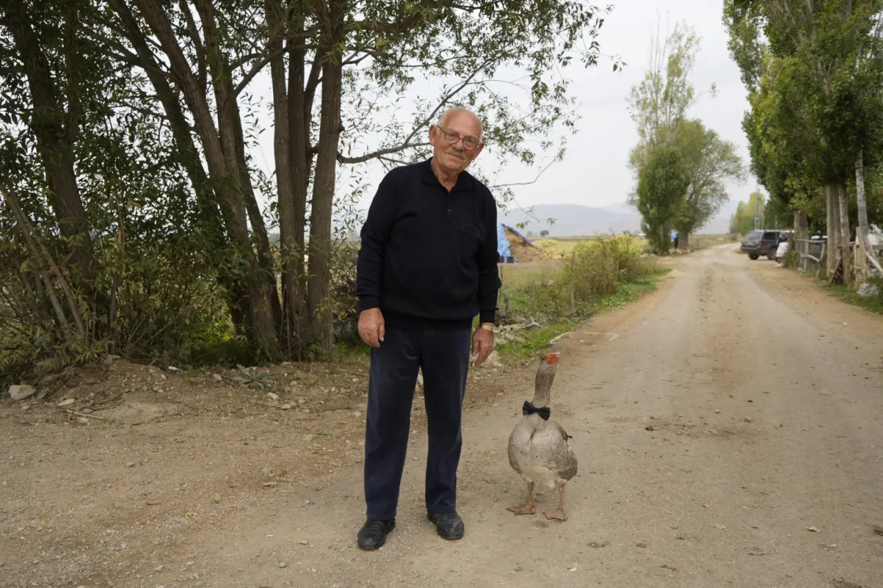 Gümüşhane'de dışlanan kaz "Juniour" İsmail Dede'nin gölgesi oldu 2