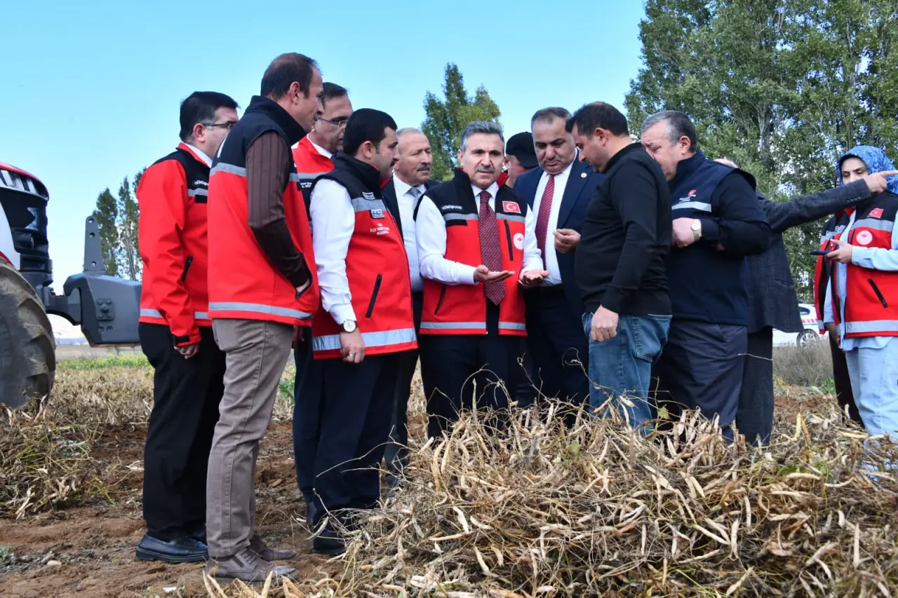 Vali Cevdet Atay Kelkit'te Şeker Fasulyesi ve Şeker Pancarı Hasadına Katıldı 5