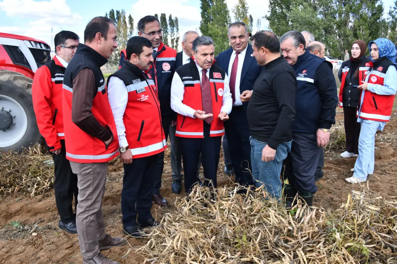 Vali Cevdet Atay Kelkit'te Şeker Fasulyesi ve Şeker Pancarı Hasadına Katıldı 1