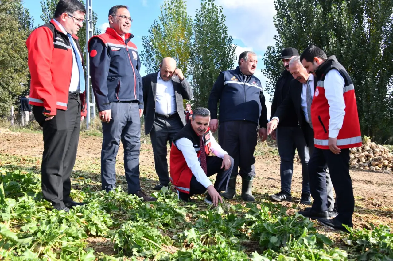 Vali Cevdet Atay Kelkit'te Şeker Fasulyesi ve Şeker Pancarı Hasadına Katıldı 11