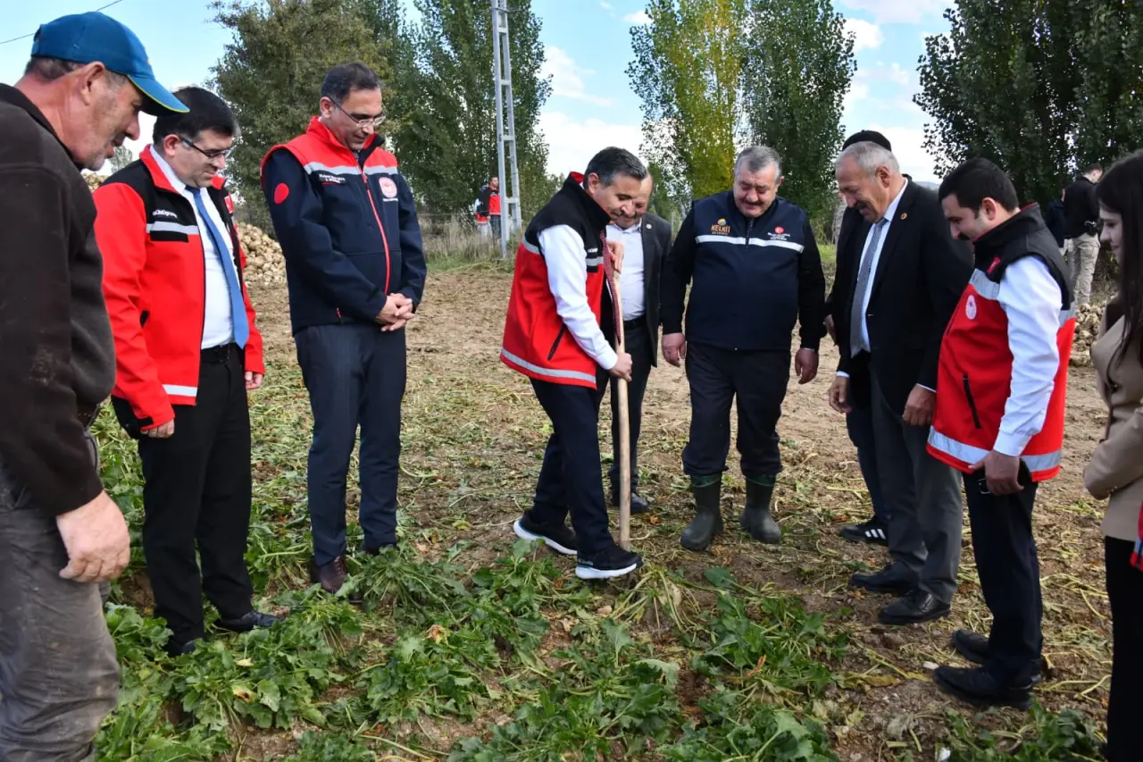 Vali Cevdet Atay Kelkit'te Şeker Fasulyesi ve Şeker Pancarı Hasadına Katıldı 8
