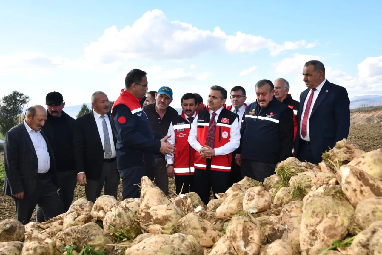 Vali Cevdet Atay Kelkit'te Şeker Fasulyesi ve Şeker Pancarı Hasadına Katıldı 2