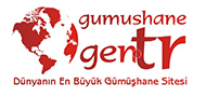 site logo