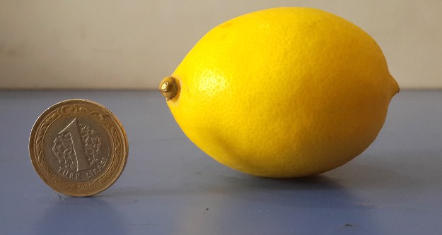 1 Limon, 1 TL