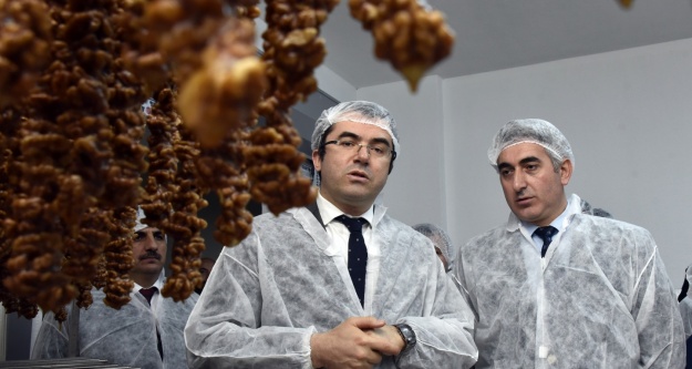 Türkiye’de pestil-köme’nin standardını Gümüşhane belirleyecek