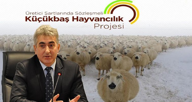 300 koyun projesinde ön değerlendirme sonuçları açıklandı