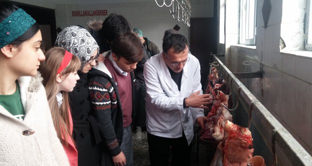 Fen Lisesi öğrencileri Mezbahanede