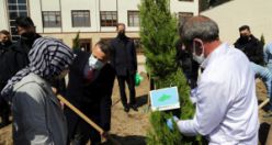 Gümüşhane Lisesinin bahçesine 16 selvi ağacı dikildi
