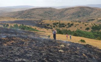 Çobanın yaktığı ateş nedeniyle 20 hektarlık arazi küle döndü