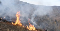 Gümüşhane'deki örtü yangınında 5 hektarlık alan zarar gördü