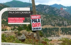 Dikkat Pala Dayı Çıkabilir