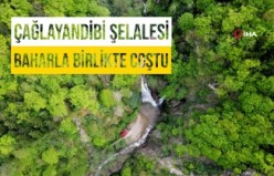 Gümüşhane'nin saklı cenneti Çağlayandibi Şelalesi baharla coştu