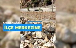 Yaban keçileri ilçe merkezine kadar indi