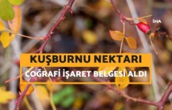 Gümüşhane'nin şifa dolu hazinesi Kuşburnu Nektarı coğrafi işaret aldı