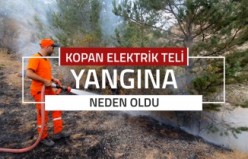 Kopan elektrik teli yangına neden oldu