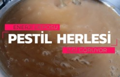 Pestilin hammaddesi enerji deposu ‘Herle’ vatandaştan yoğun ilgi görüyor