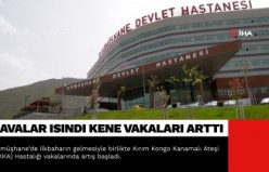 Gümüşhane'de havalar ısındı, kene vakaları arttı