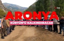 Kürtün süper meyve “Aronya” ile kalkınacak