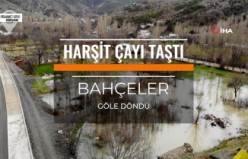 Harşit Çayı taştı bahçeler göle döndü